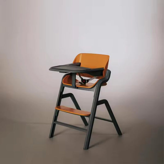 Silla Multi Stage BabyG™